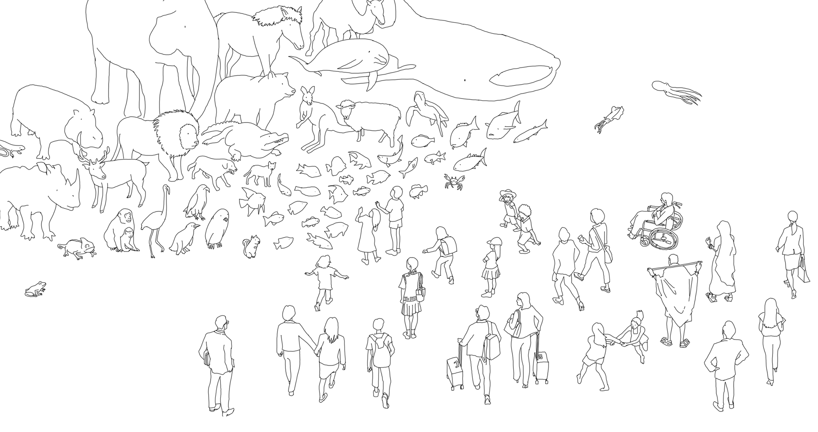about_hero